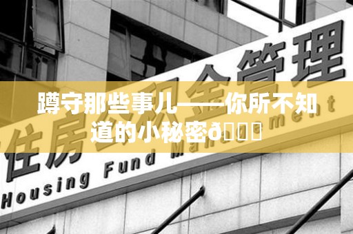 旌德蹲守那些事儿——你所不知道的小秘密😎