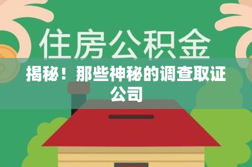 旌德揭秘！那些神秘的调查取证公司