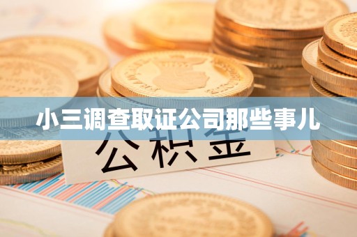旌德小三调查取证公司那些事儿