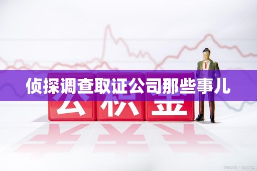 旌德侦探调查取证公司那些事儿