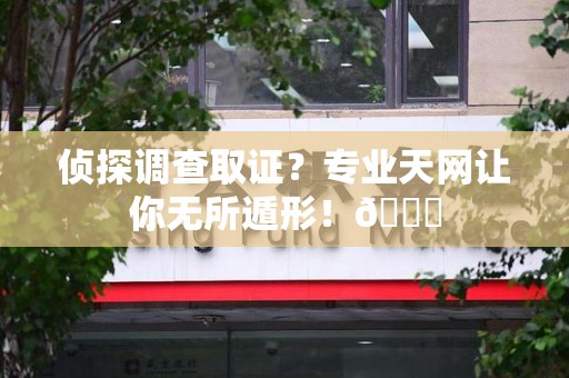 旌德侦探调查取证？专业天网让你无所遁形！😎