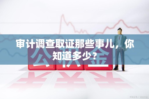 旌德审计调查取证那些事儿，你知道多少？