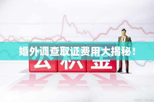 旌德婚外调查取证费用大揭秘！