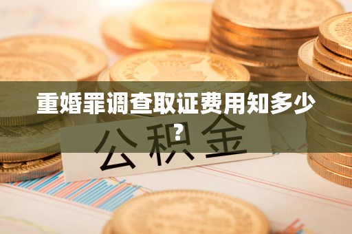 旌德重婚罪调查取证费用知多少？