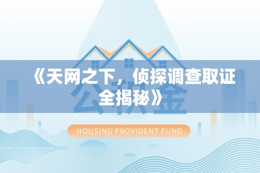 旌德《天网之下，侦探调查取证全揭秘》