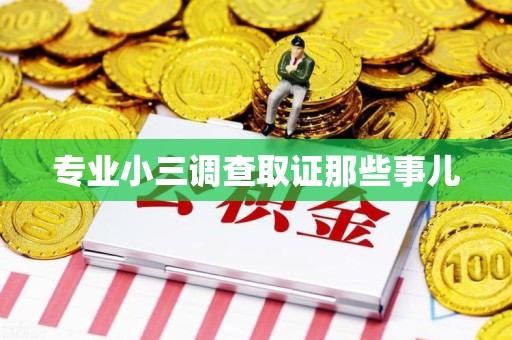 旌德专业小三调查取证那些事儿