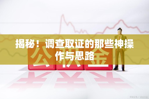 旌德揭秘！调查取证的那些神操作与思路