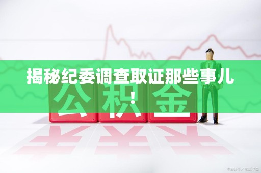 旌德揭秘纪委调查取证那些事儿！